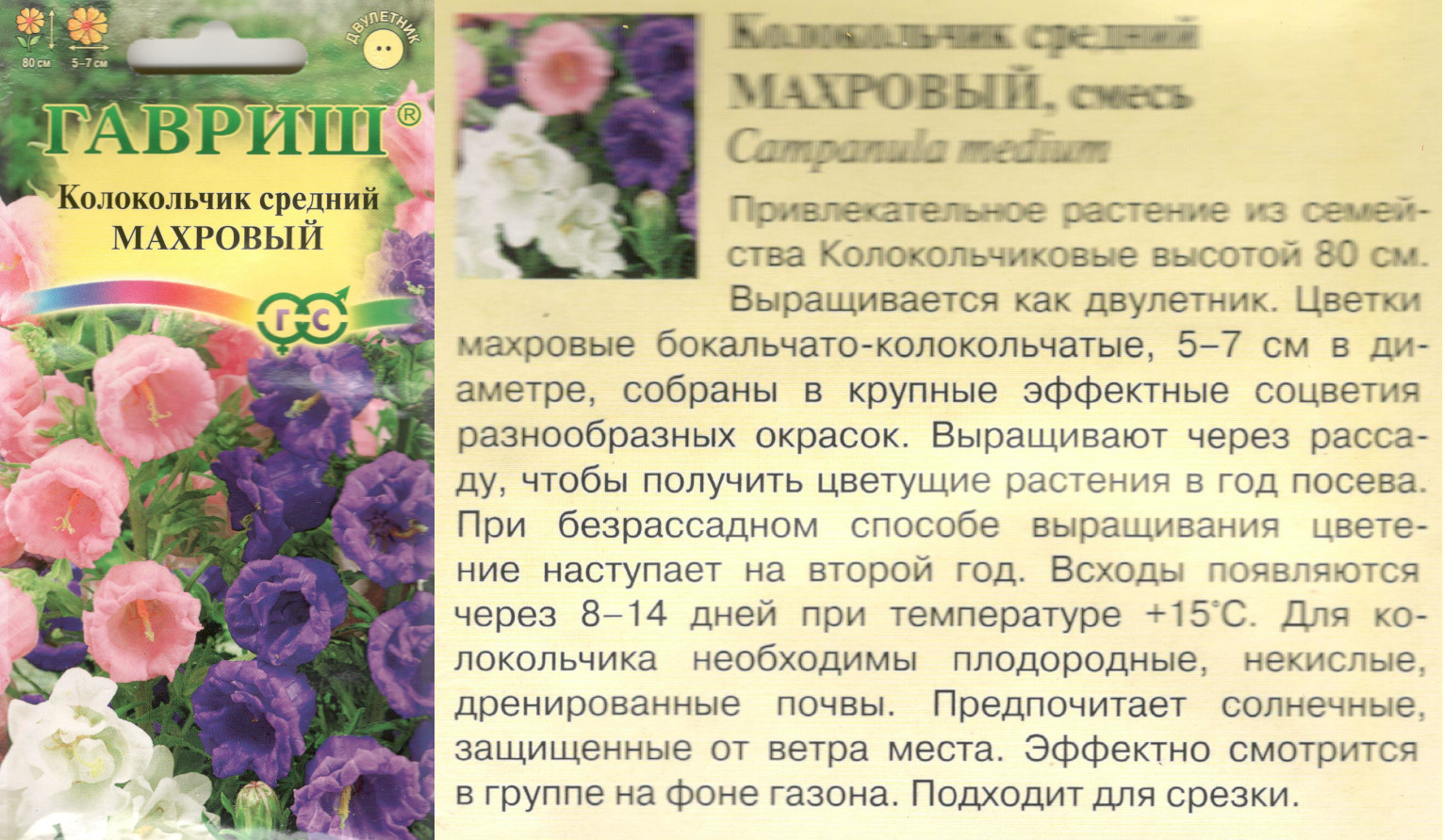 картинка Колокольчик Махровый 0,1 гр. средний $ Гавриш интернет-магазин "Дачник"