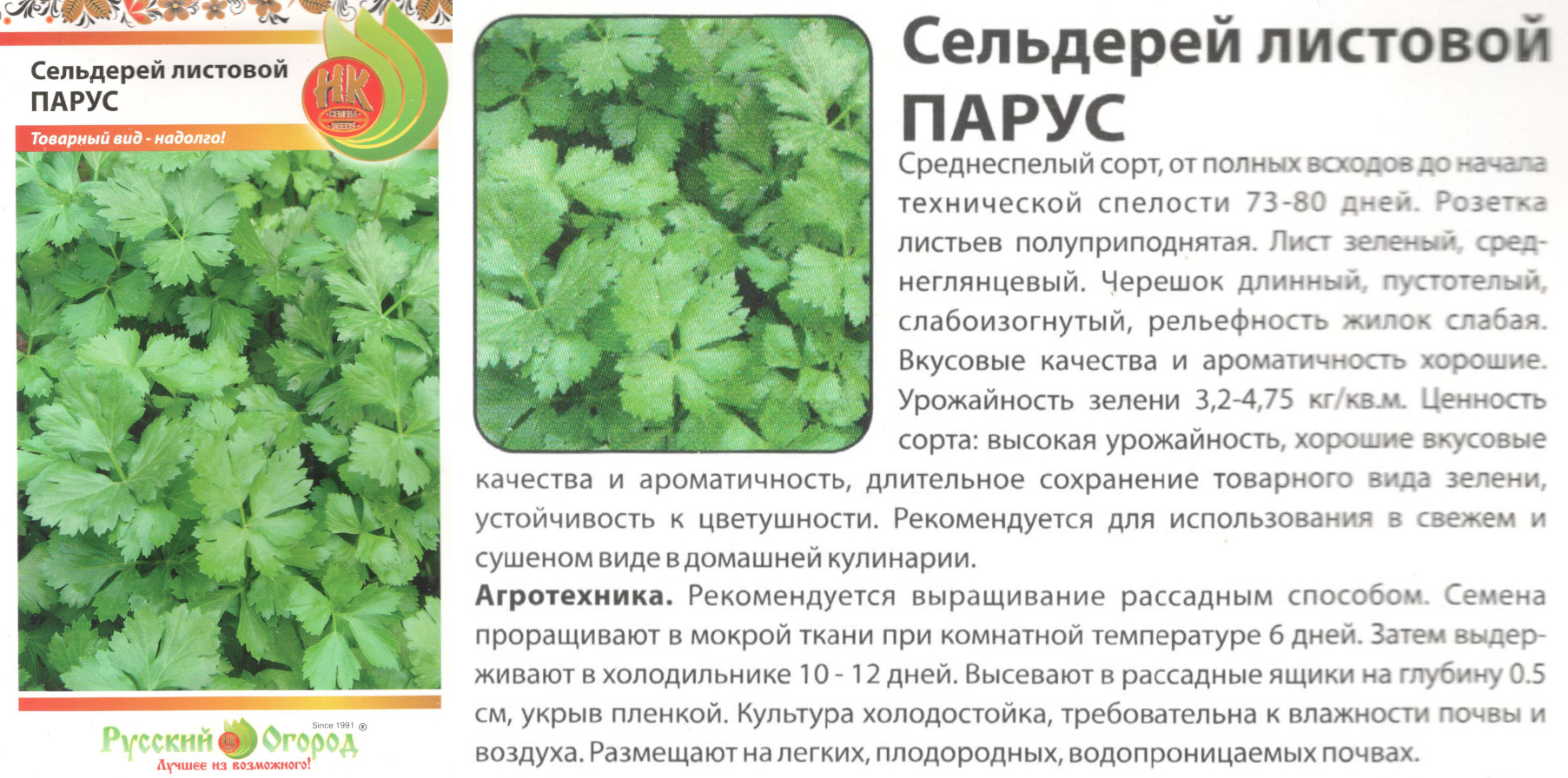 картинка Сельдерей Парус 0,5 гр. листовой $ (НК) РО интернет-магазин "Дачник"