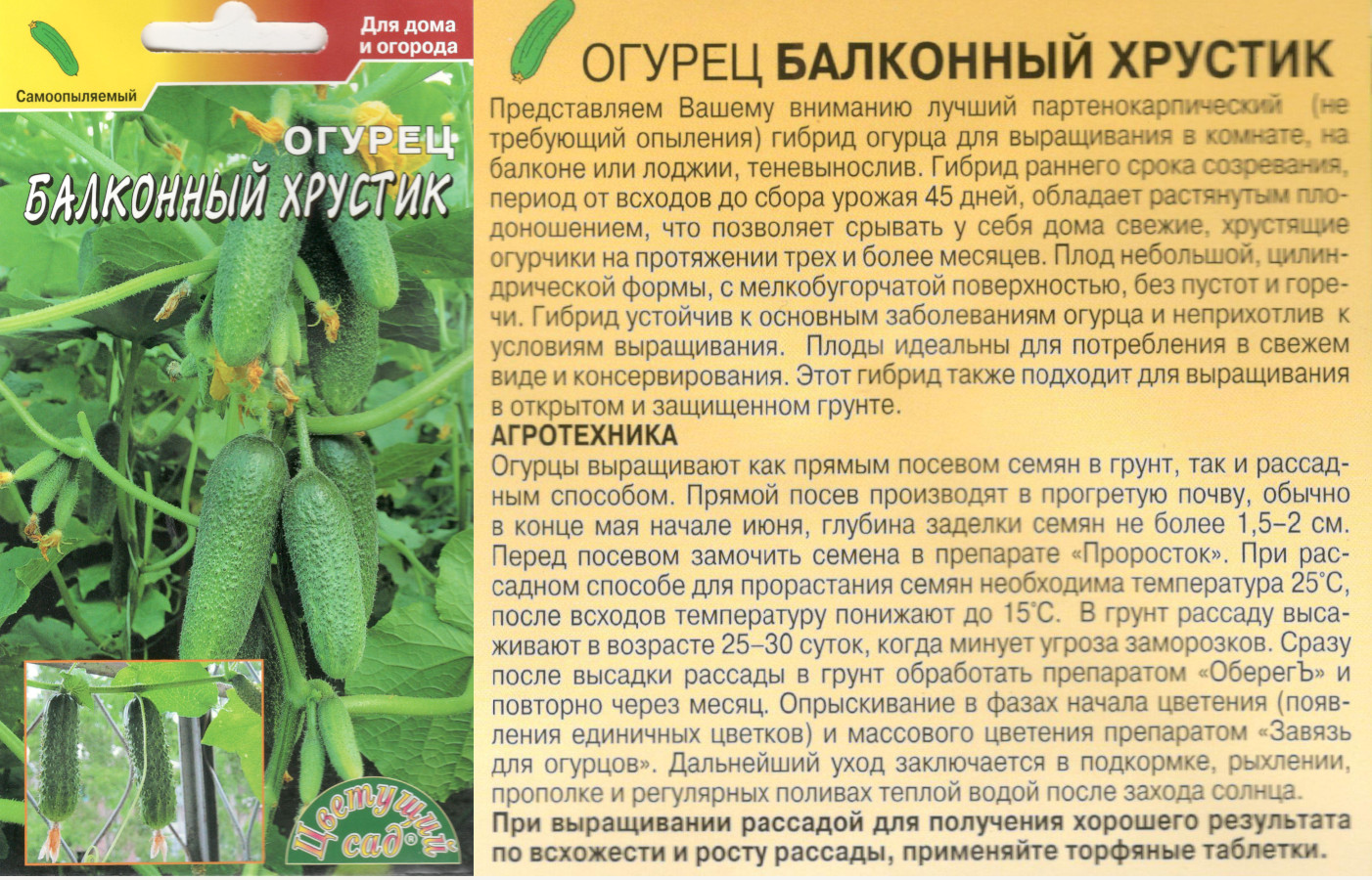 картинка Огурец Балконный хрустик 0,3 гр.$ Цв.сад интернет-магазин "Дачник"