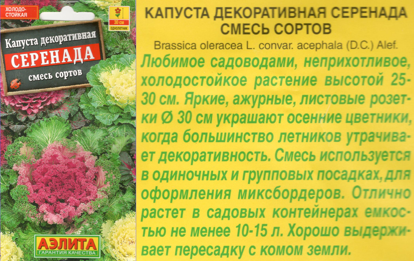 картинка Капуста Серенада 0,1 гр. декор. (смесь) $ Аэлита интернет-магазин "Дачник"