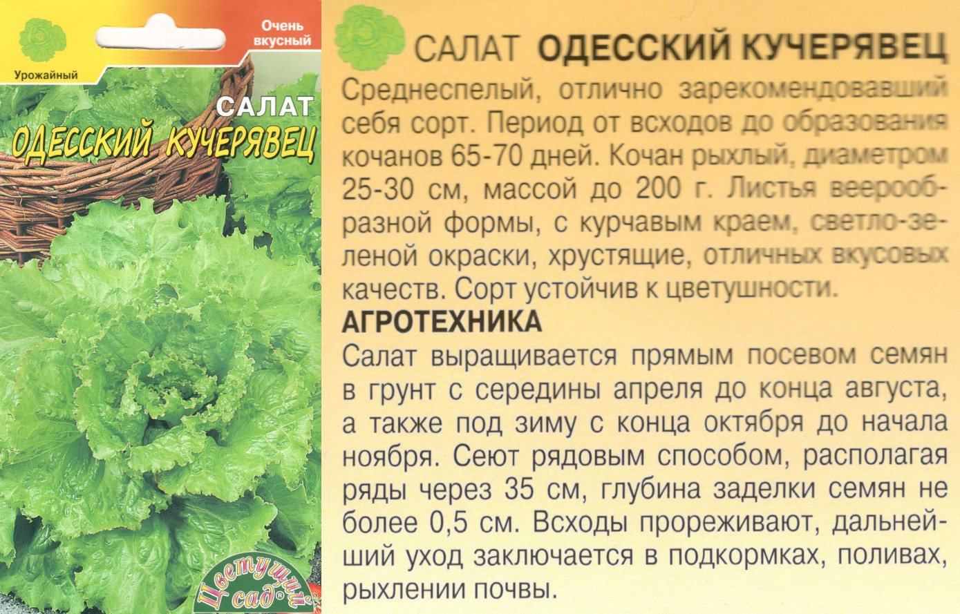 картинка Салат Одесский кучерявец 0,5 гр. $ Цв.сад интернет-магазин "Дачник"