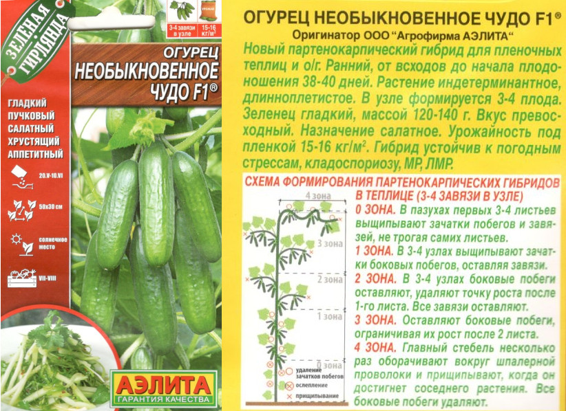 картинка Огурец Необыкновенное чудо 10 шт. $ Аэлита интернет-магазин "Дачник"
