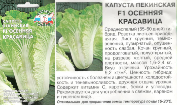 картинка Капуста Осенняя красавица 0,3 гр. пекинская $ Сиб.сорт.семена интернет-магазин "Дачник"