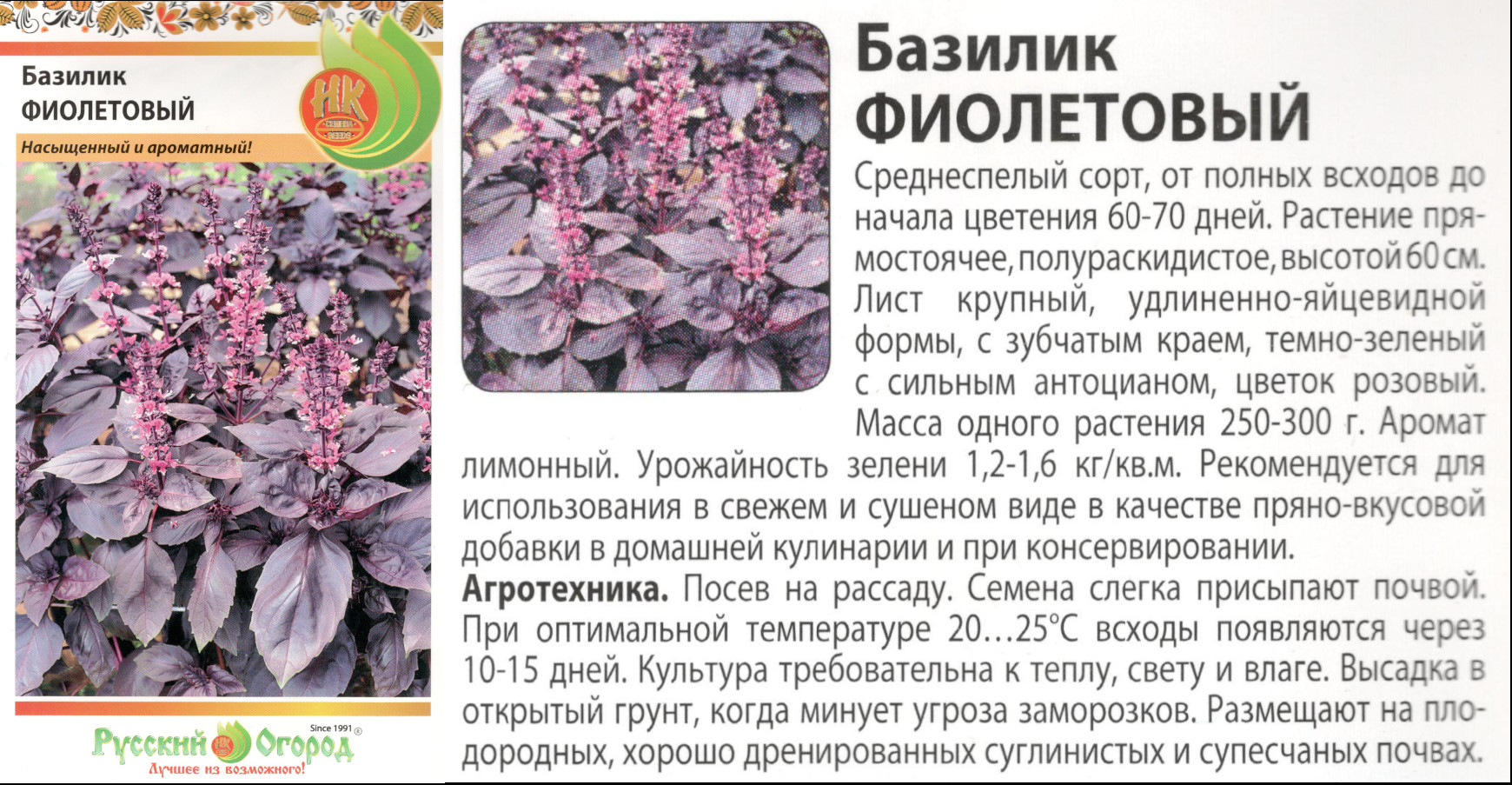 картинка Базилик Фиолетовый 0,3 гр. овощной (НК) $ РО интернет-магазин "Дачник"