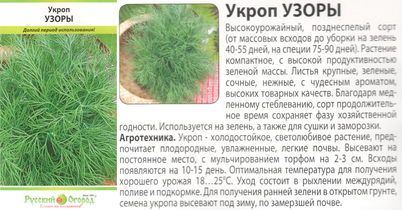 картинка Укроп Узоры 3 гр. $ (НК) РО интернет-магазин "Дачник"