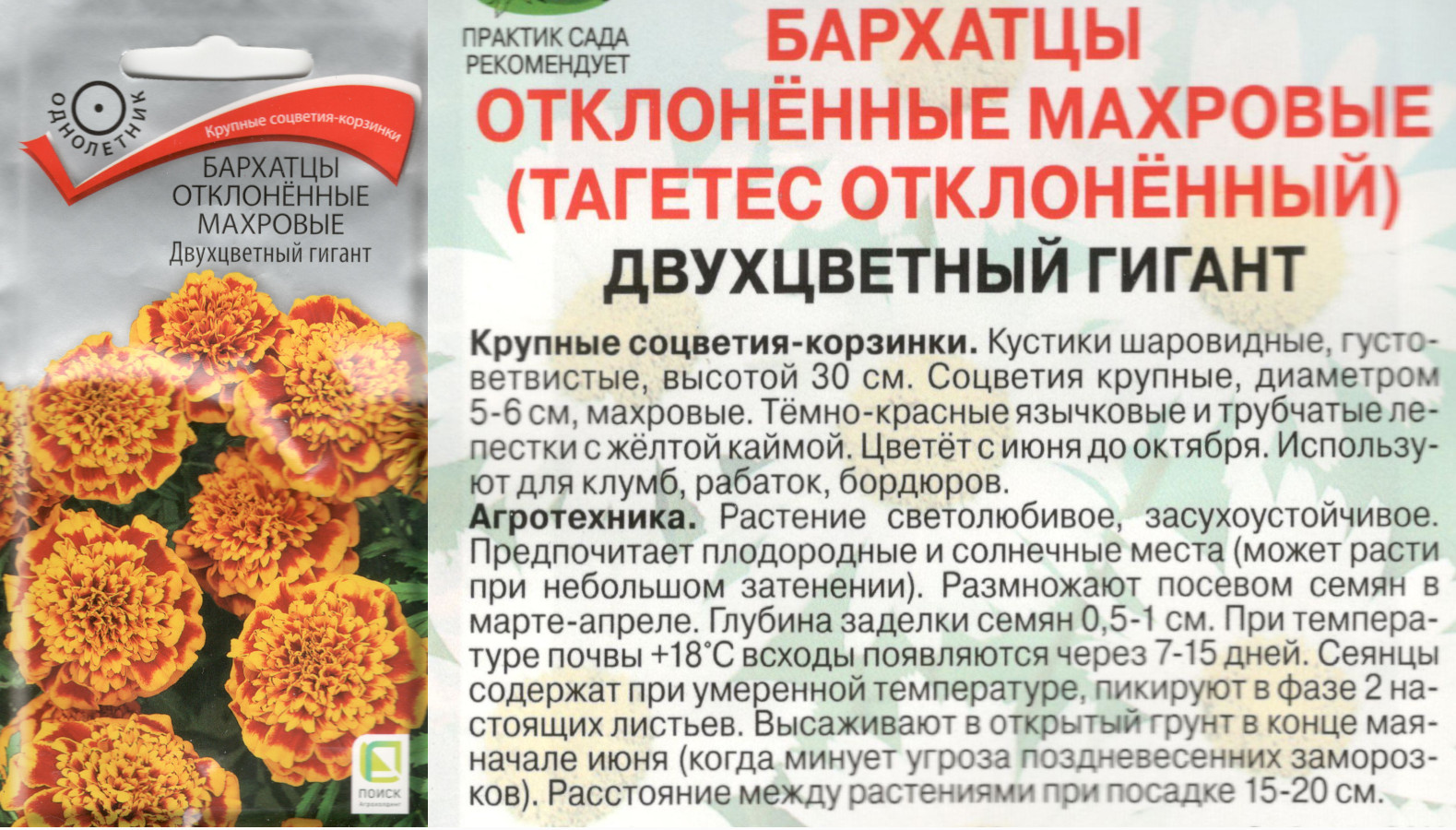 картинка Бархатцы Двухцветный гигант 0,4 гр. махровые $ Поиск интернет-магазин "Дачник"