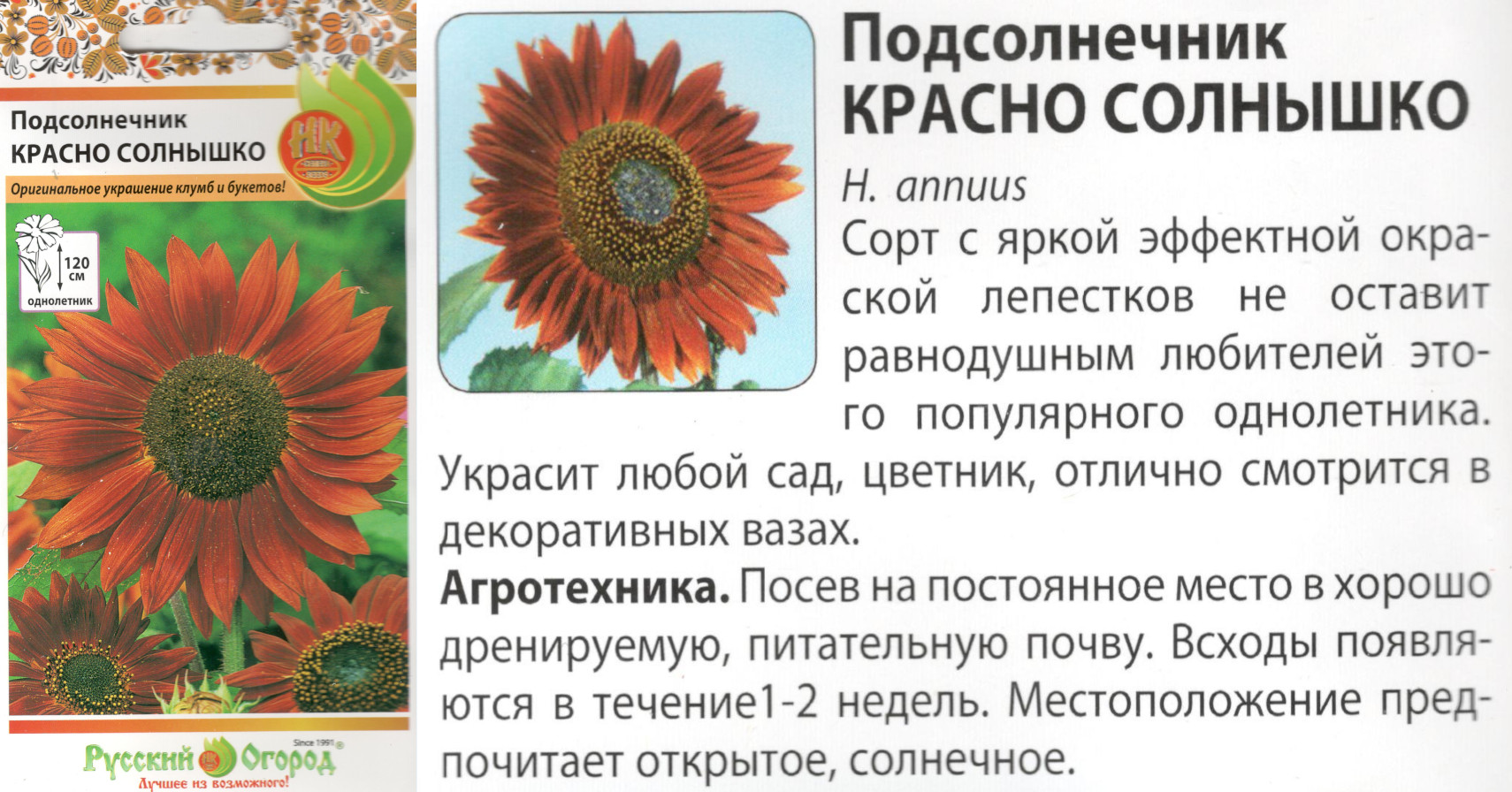 картинка Подсолнечник Красно Солнышко 0,5 гр. (НК) $ РО интернет-магазин "Дачник"