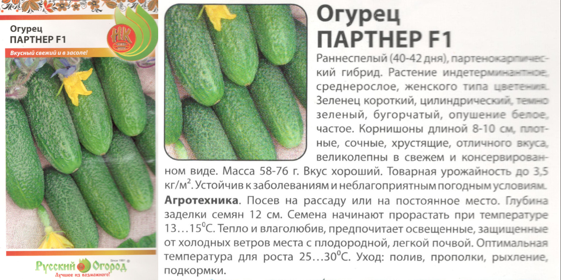 картинка Огурец Партнер 10 шт. (НК) $ Цв.сад интернет-магазин "Дачник"
