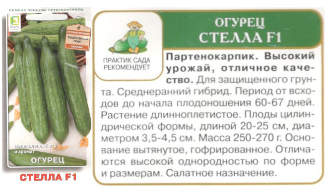 картинка Огурец Стелла 12 шт. $ Поиск интернет-магазин "Дачник"