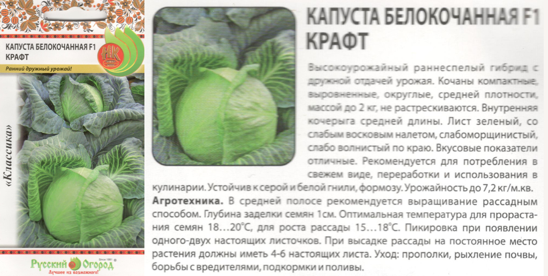 картинка Капуста Крафт 0,3 гр. $ (белокочанная) РО интернет-магазин "Дачник"
