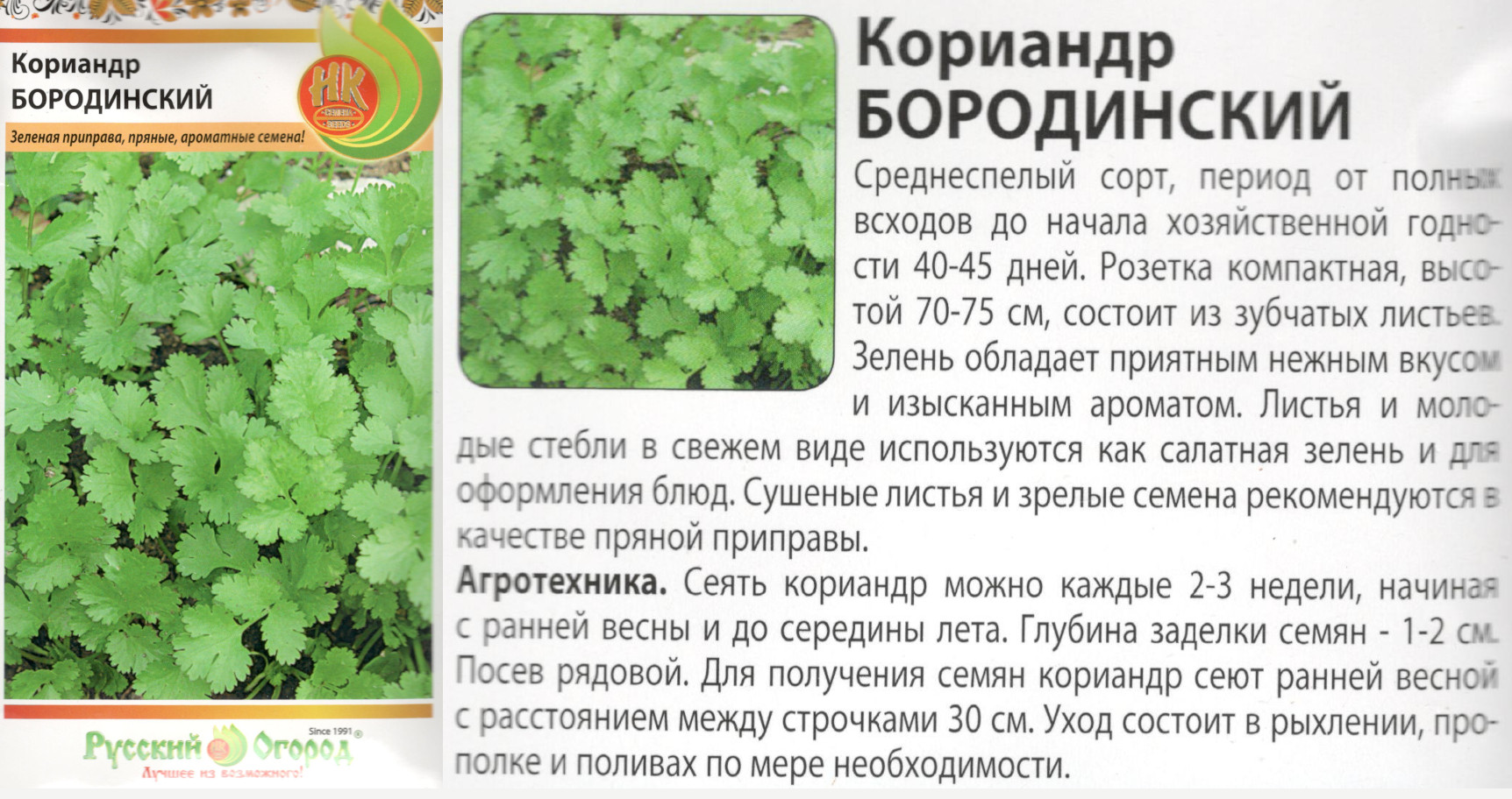 картинка Кориандр Бородинский 3 гр. пряность $ / РО интернет-магазин "Дачник"