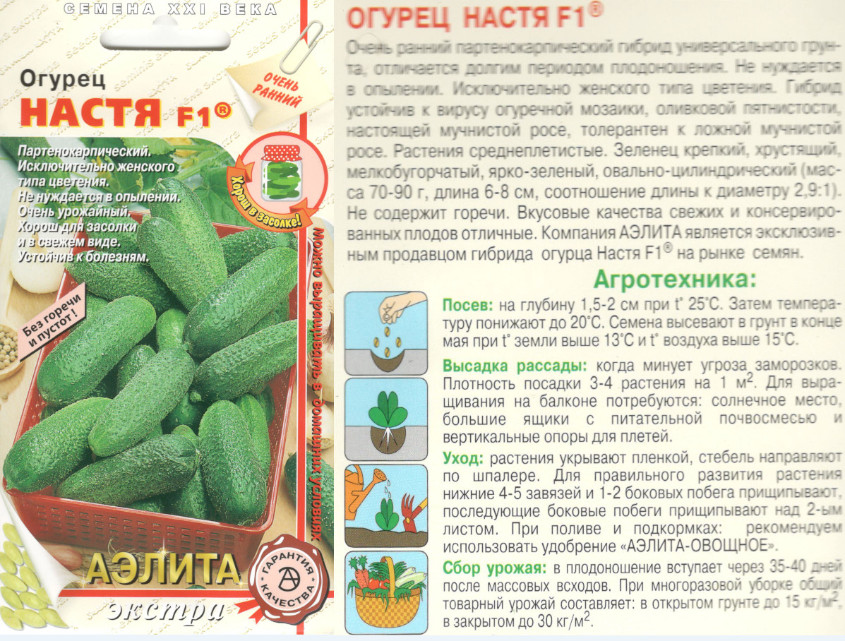 картинка Огурец Настя 10 шт. $ Аэлита интернет-магазин "Дачник"