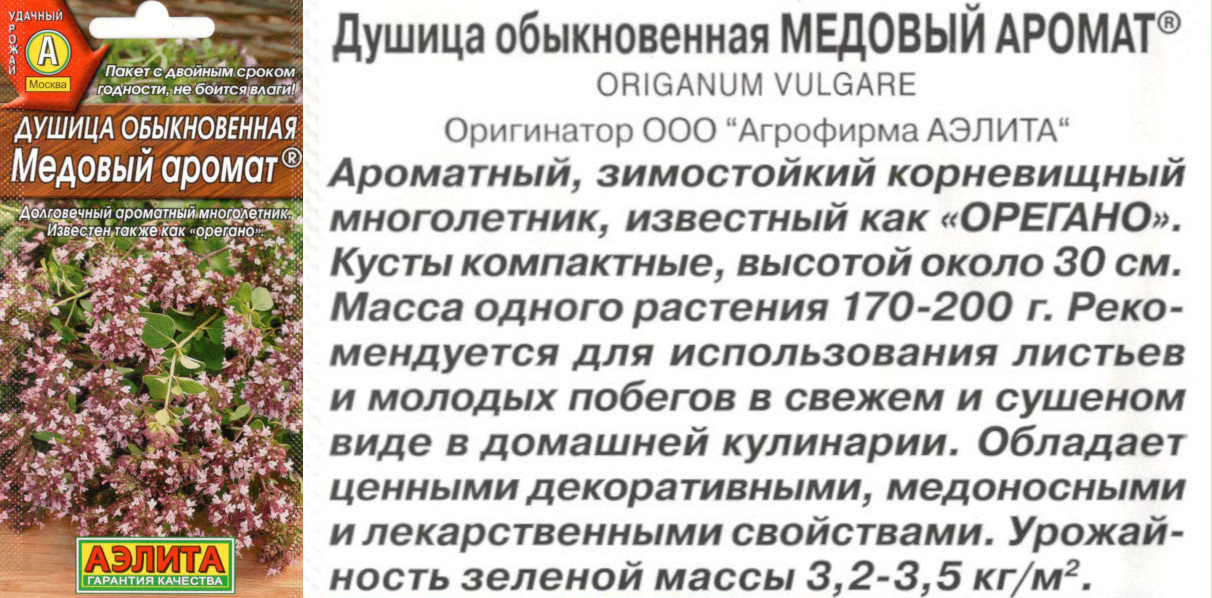 картинка Душица (орегано) Медовый аромат 0,05 гр. $ Аэлита интернет-магазин "Дачник"