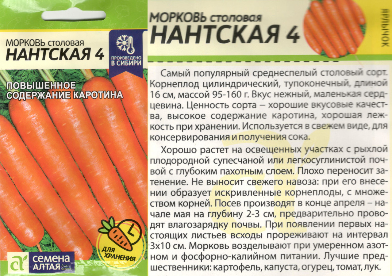 картинка Морковь Нантская 4 2 гр. $ Семена Алтая интернет-магазин "Дачник"