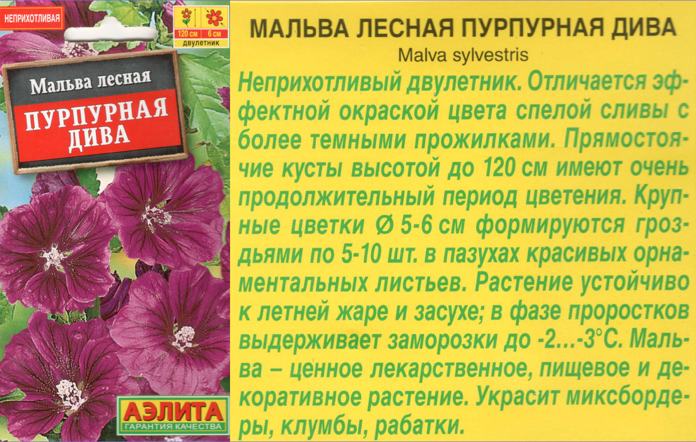 картинка Мальва Пурпурная дива 0,1 гр. $ Аэлита интернет-магазин "Дачник"