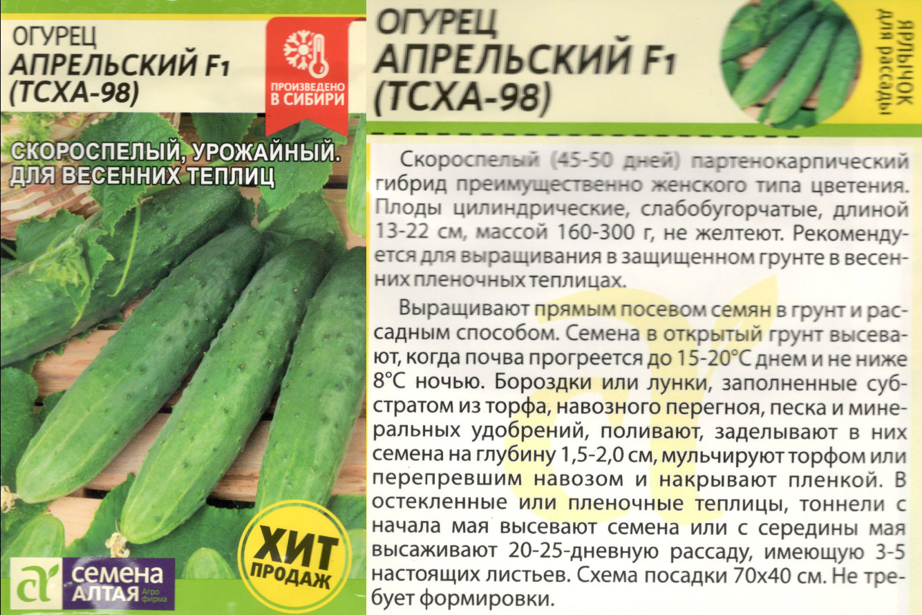 картинка Огурец Апрельский 0,3 гр. ТСХА-98 $ Семена Алтая интернет-магазин "Дачник"