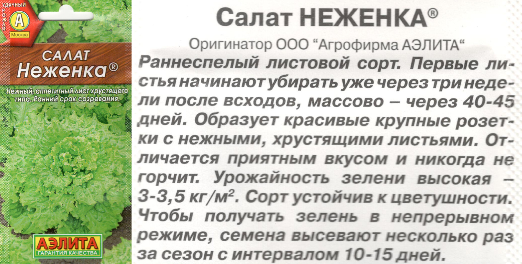 картинка Салат Неженка 0,5 гр. листовой $ / Аэлита интернет-магазин "Дачник"