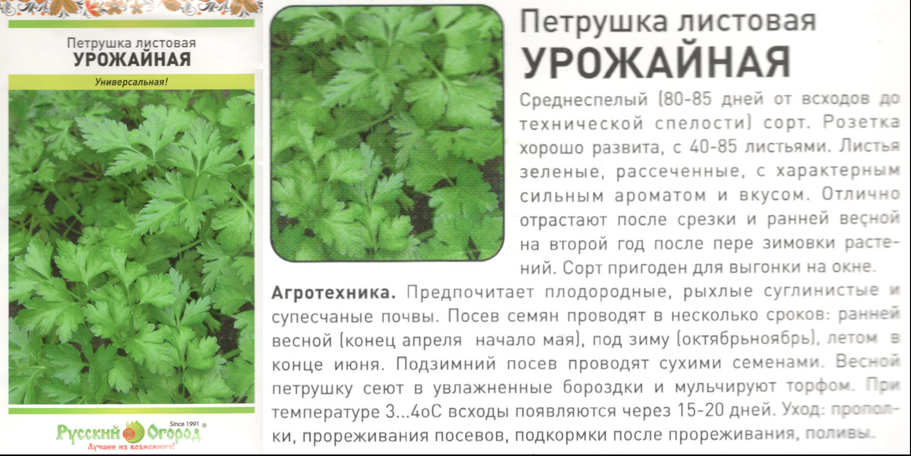 картинка Петрушка Урожайная 2 гр. лист. (НК) $ РО интернет-магазин "Дачник"