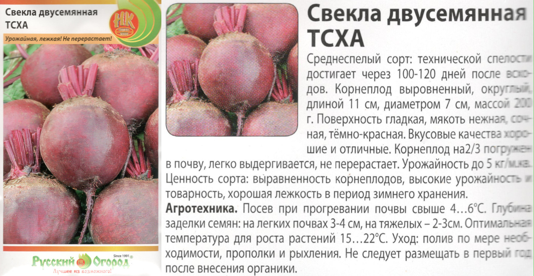 картинка Свекла Двусемянная ТСХА 3 гр. $ (НК) РО интернет-магазин "Дачник"