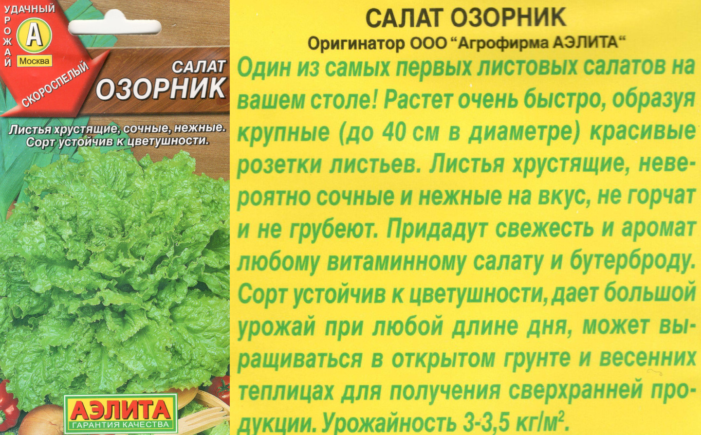картинка Салат Озорник 0,5 гр. листовой $ / Аэлита интернет-магазин "Дачник"