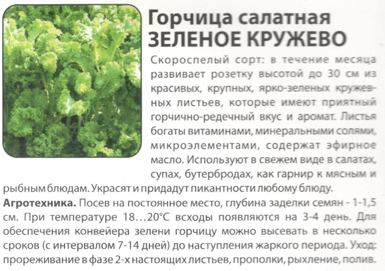 картинка Горчица Зеленое кружево 1 гр. $ (НК) РО интернет-магазин "Дачник"