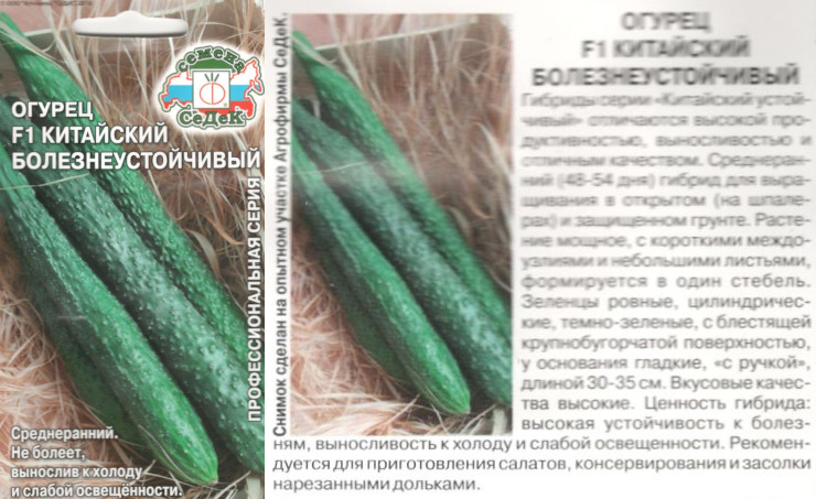 картинка Огурец Китайский болезнеустойчивый 0,2 гр. $ Седек интернет-магазин "Дачник"