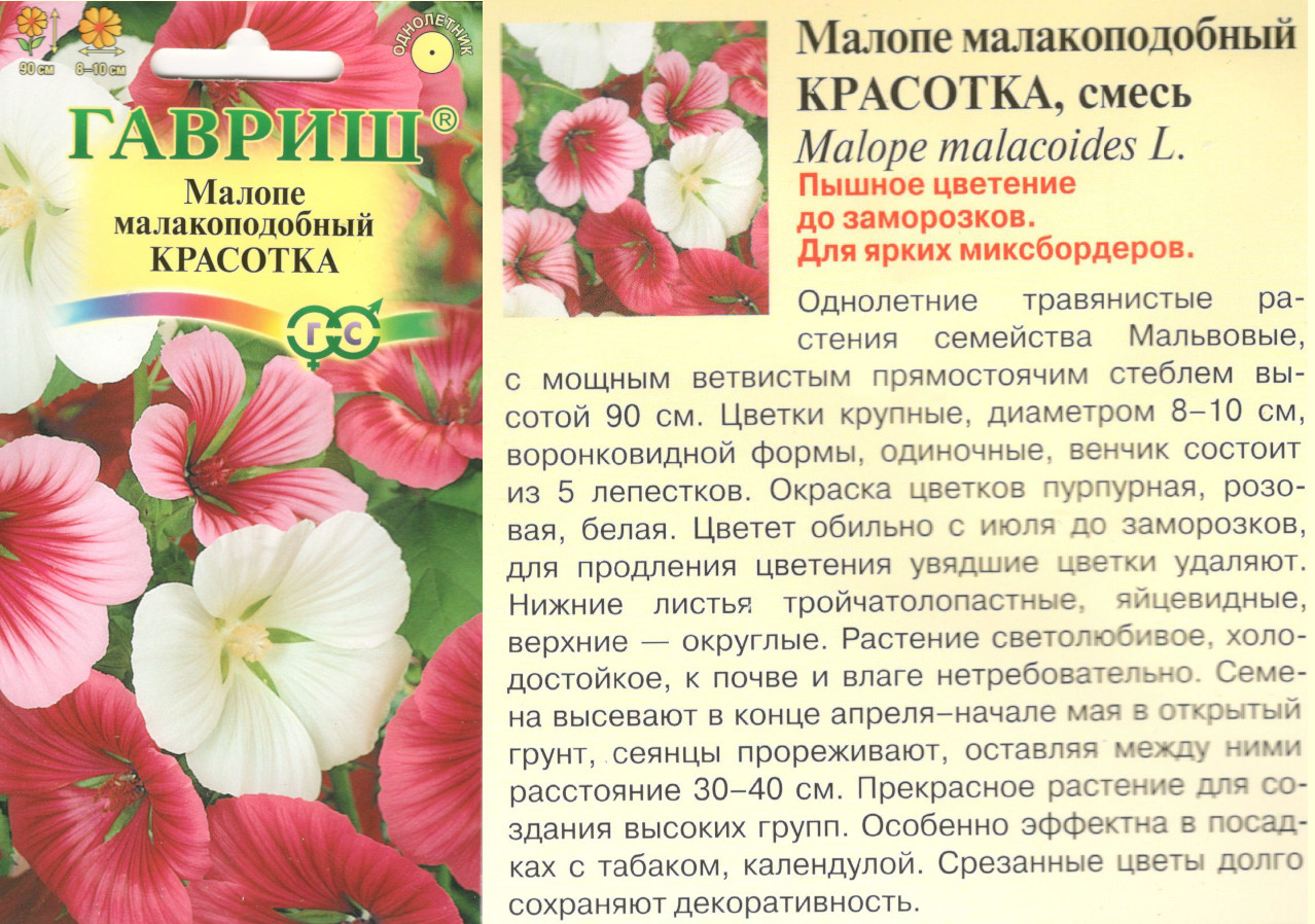 картинка Малопа Красотка 0,1 гр. смесь $ Гавриш  интернет-магазин "Дачник"