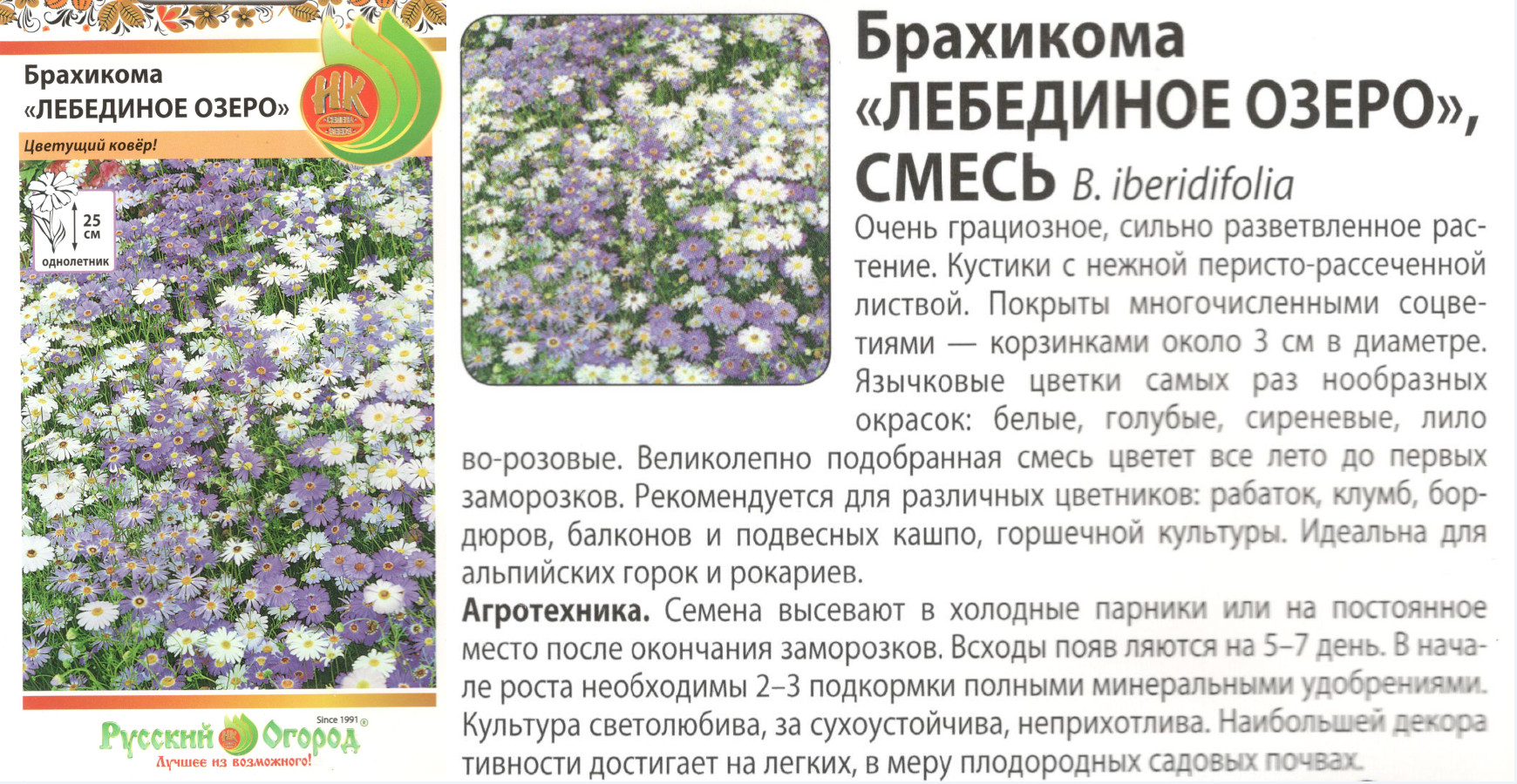 картинка Брахикома Лебединое озеро 0,1 гр. смесь (НК) $ РО интернет-магазин "Дачник"