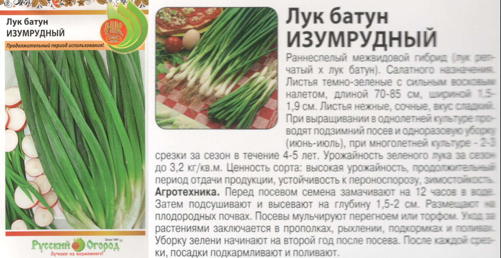 картинка Лук Изумрудный 1 гр. Батун (НК) $ РО интернет-магазин "Дачник"