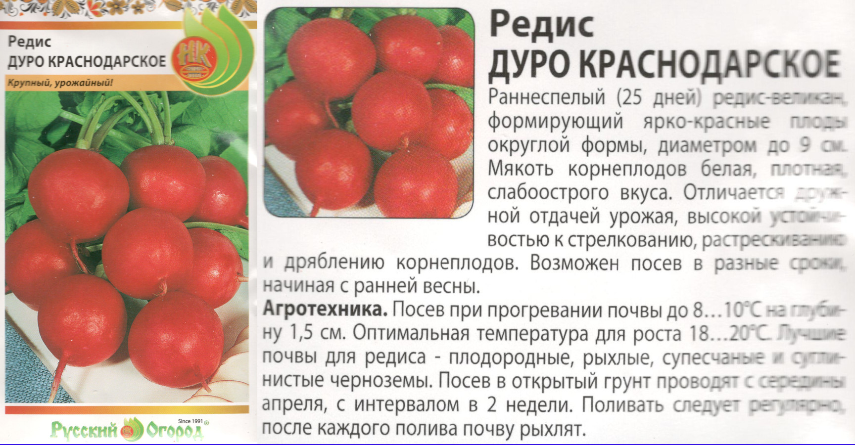 картинка Редис Дуро Краснодарское 2 гр. $ (НК) РО интернет-магазин "Дачник"