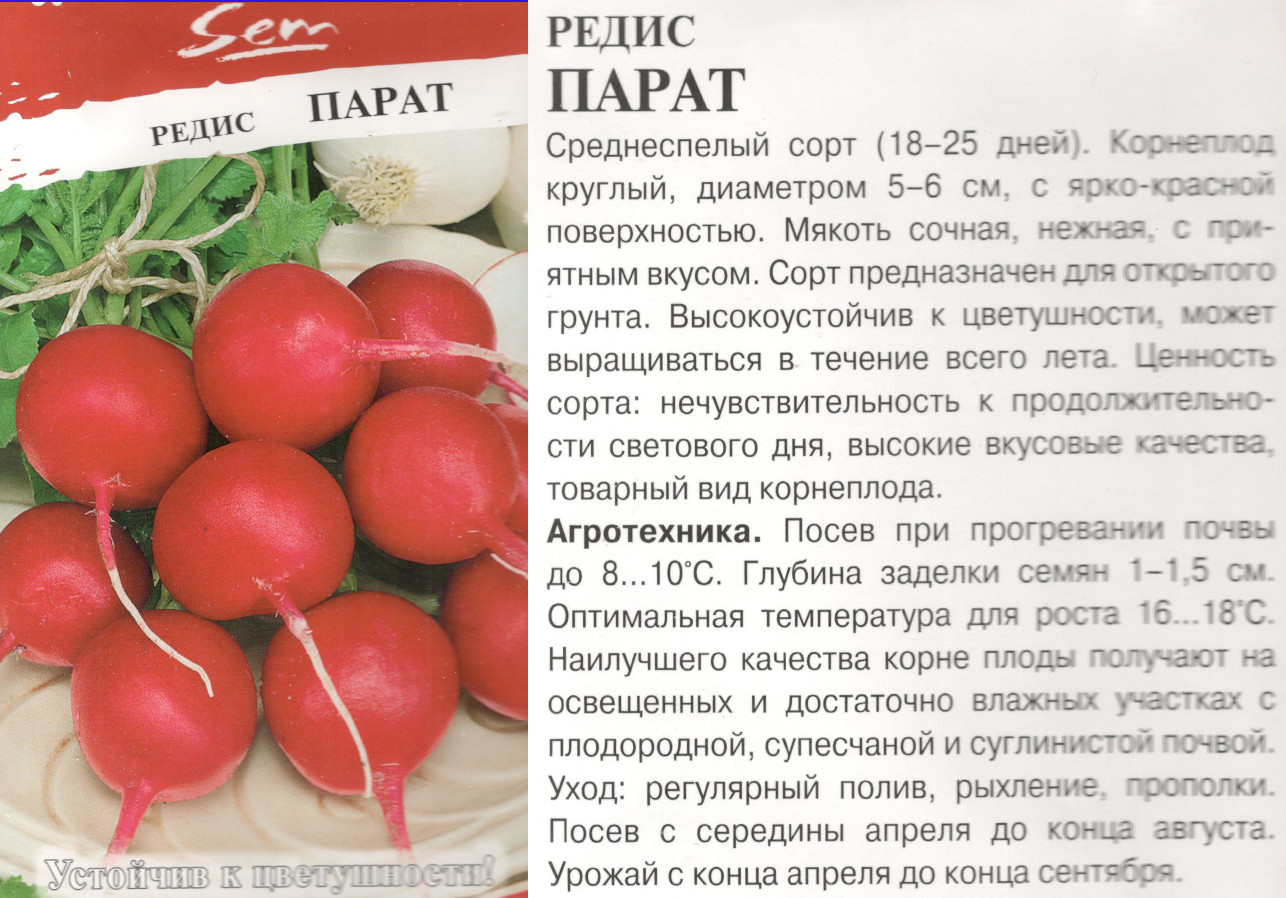 картинка Редис Парат 2 гр. мини $ (mini Sem) РО интернет-магазин "Дачник"