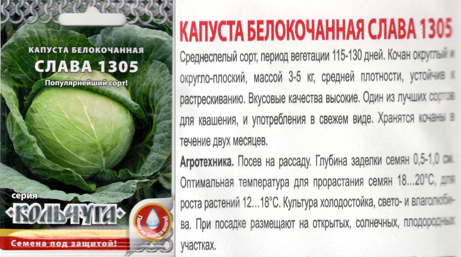 картинка Капуста Слава 1305 0,5 гр.  белокачанная (Кольчуга) $ РО интернет-магазин "Дачник"