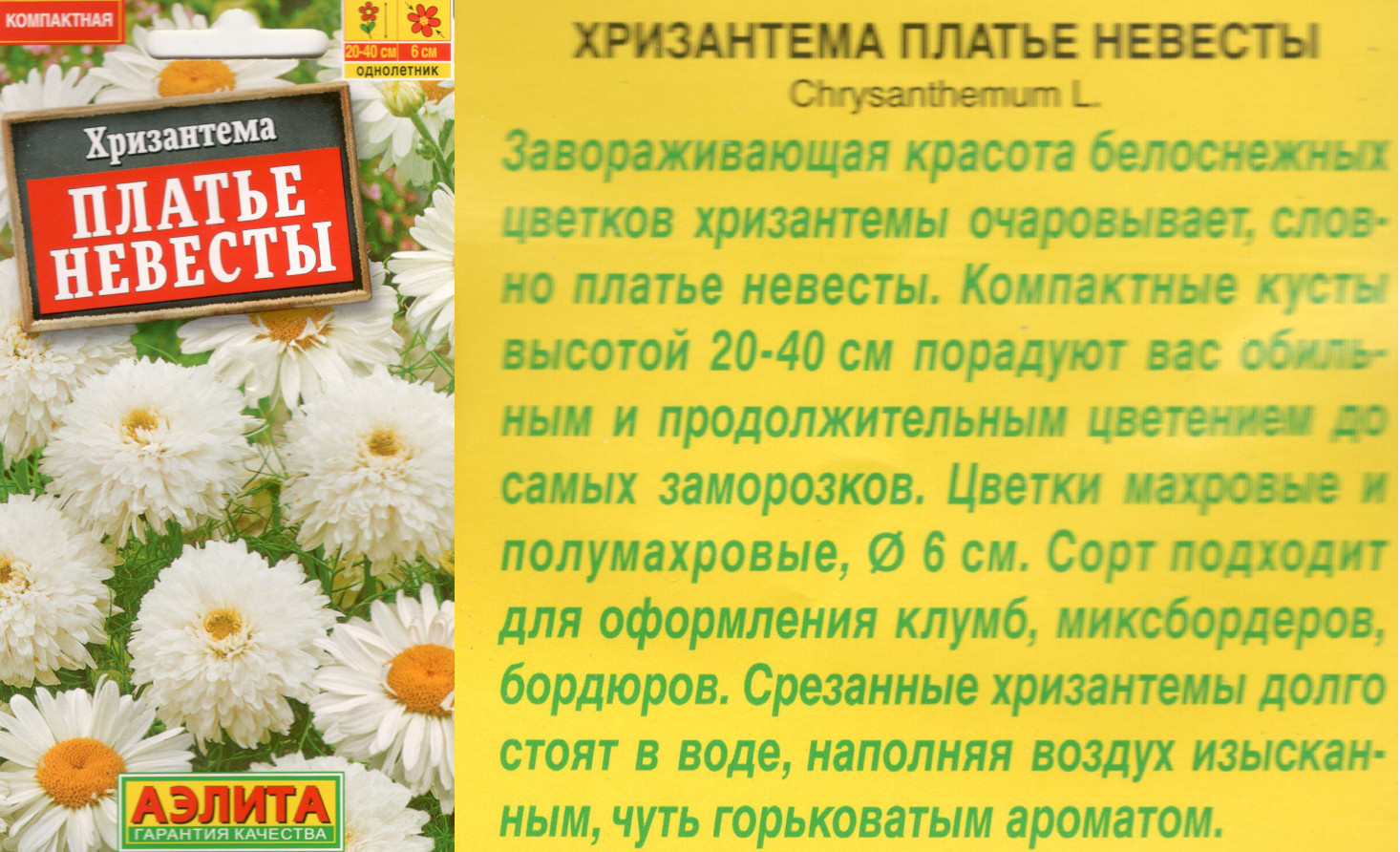 картинка Хризантема Платье невесты 0,05 гр. $ Аэлита интернет-магазин "Дачник"