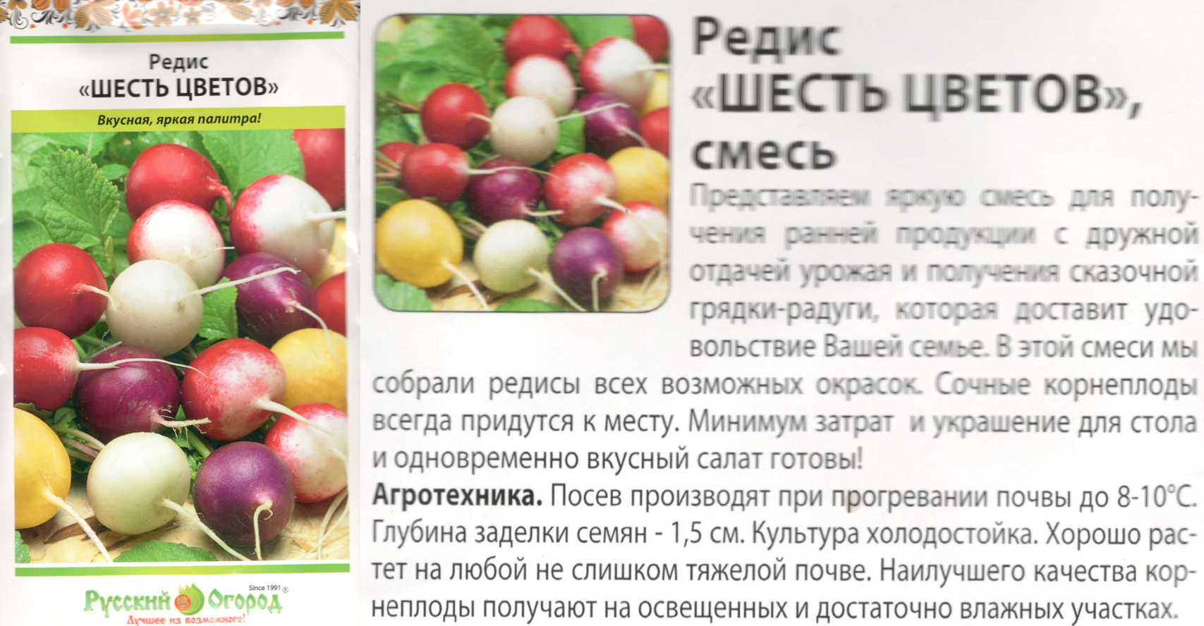картинка Редис Шесть цветов 4 гр. смесь (НК) $ РО интернет-магазин "Дачник"