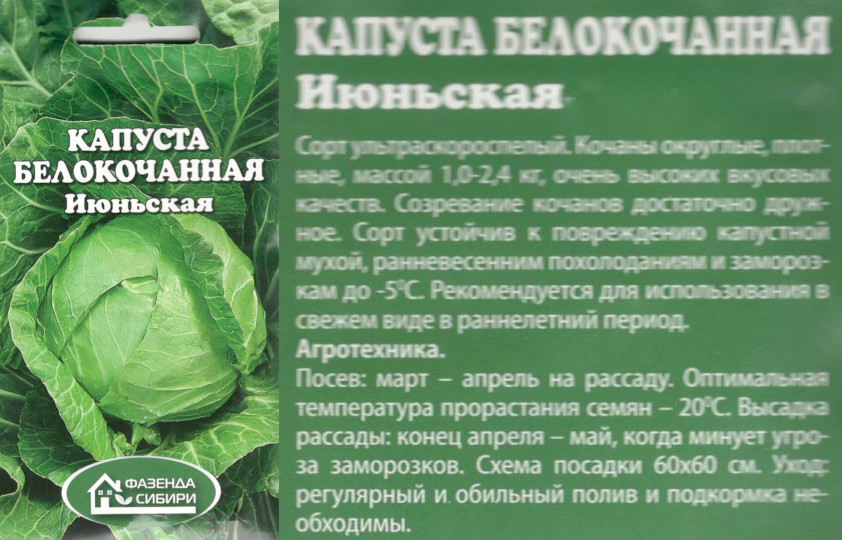 картинка Капуста Июньская 0,5 гр. белокач. $ Фазенда Сибири интернет-магазин "Дачник"