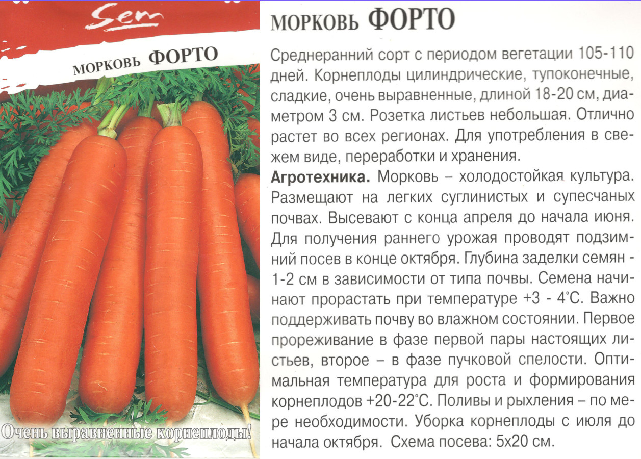 картинка Морковь Форто 2 гр. $  РО интернет-магазин "Дачник"