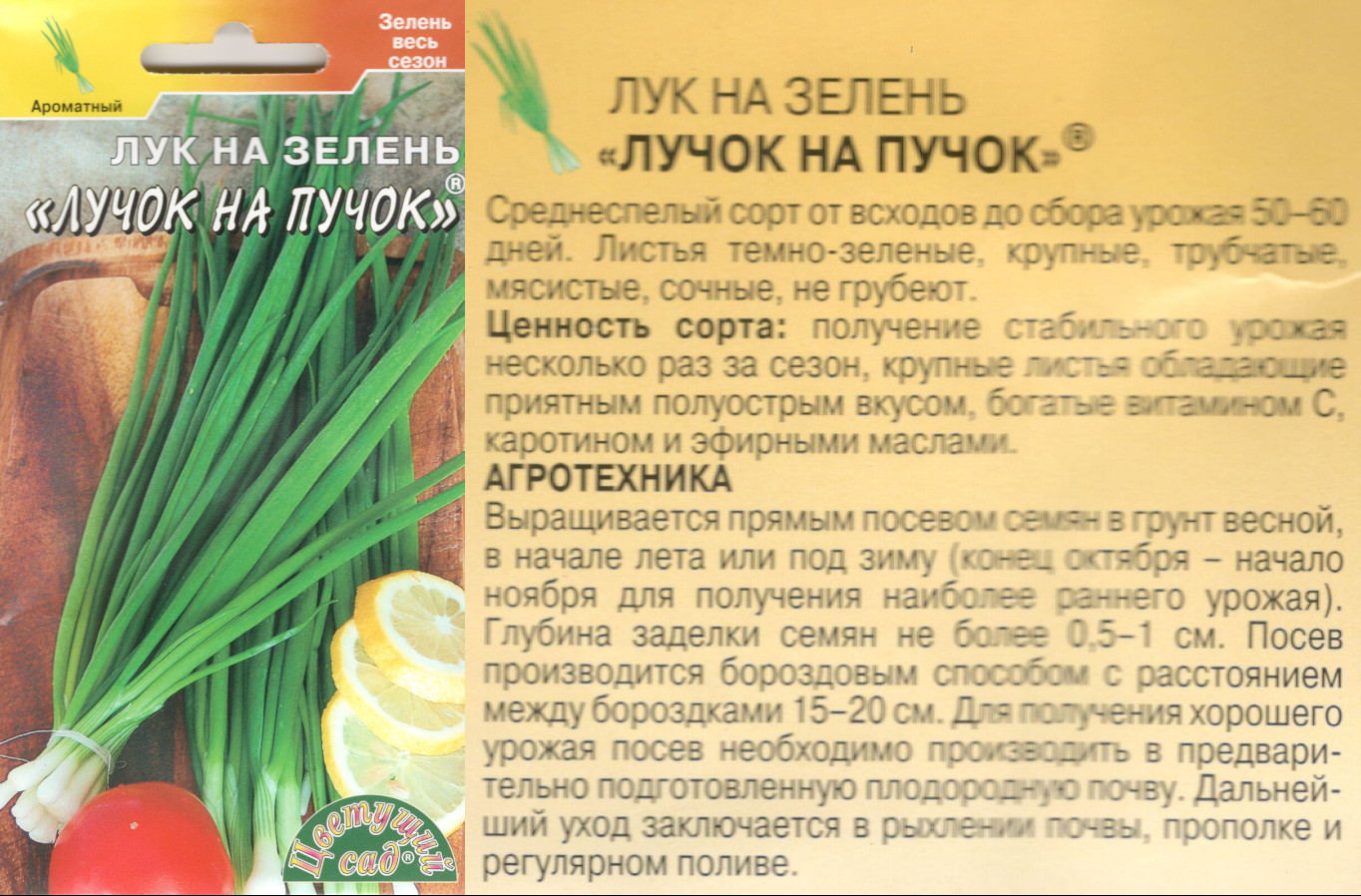 картинка Лук Лучок на пучок 0,3 гр. на зелень $ Цв.сад интернет-магазин "Дачник"