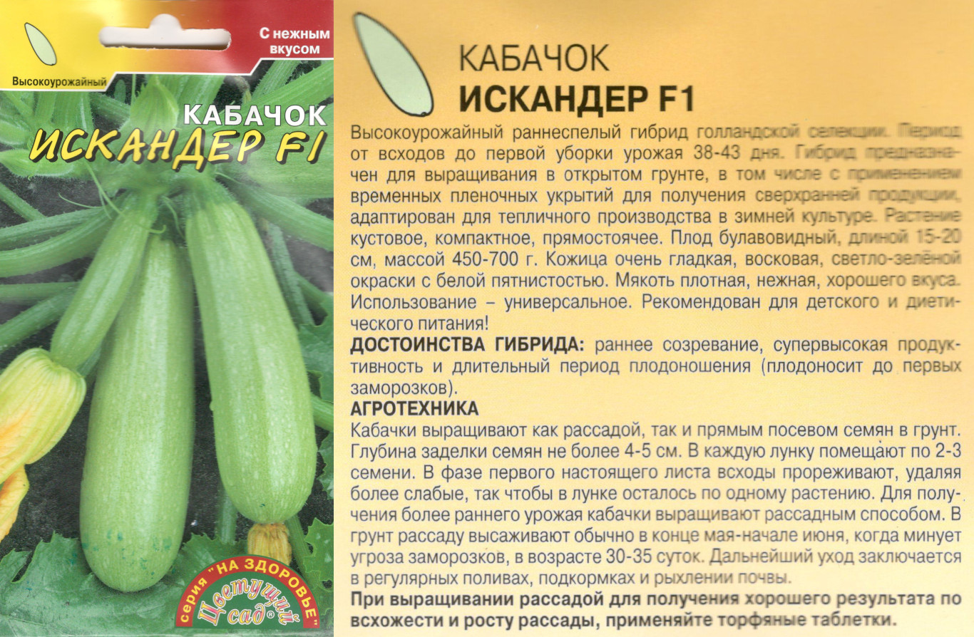 картинка Кабачок Искандер 3 шт. $ Цв.сад интернет-магазин "Дачник"