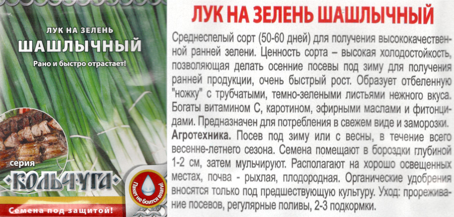 картинка Лук Шашлычный 1 гр. на зелень (Кольчуга) $ РО интернет-магазин "Дачник"