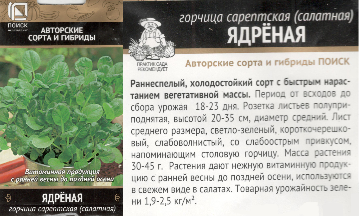 картинка Горчица Ядреная 1 гр. салатная $ Поиск интернет-магазин "Дачник"