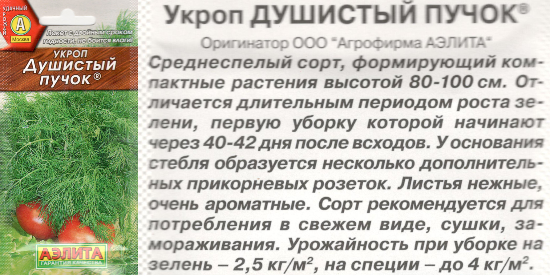 картинка Укроп Душистый пучок 3 гр. $ Аэлита интернет-магазин "Дачник"