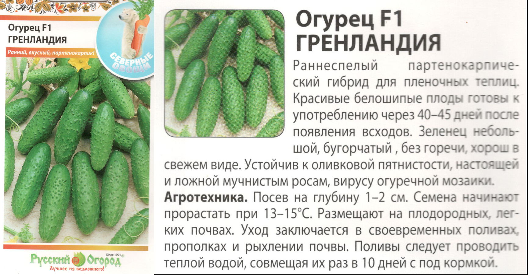 картинка Огурец Гренландия 10 шт. (СО) $ РО интернет-магазин "Дачник"