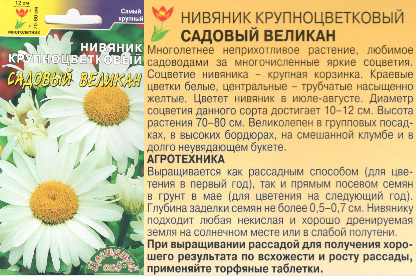картинка Нивяник Садовый великан 0,1 гр. $ Цв.сад интернет-магазин "Дачник"