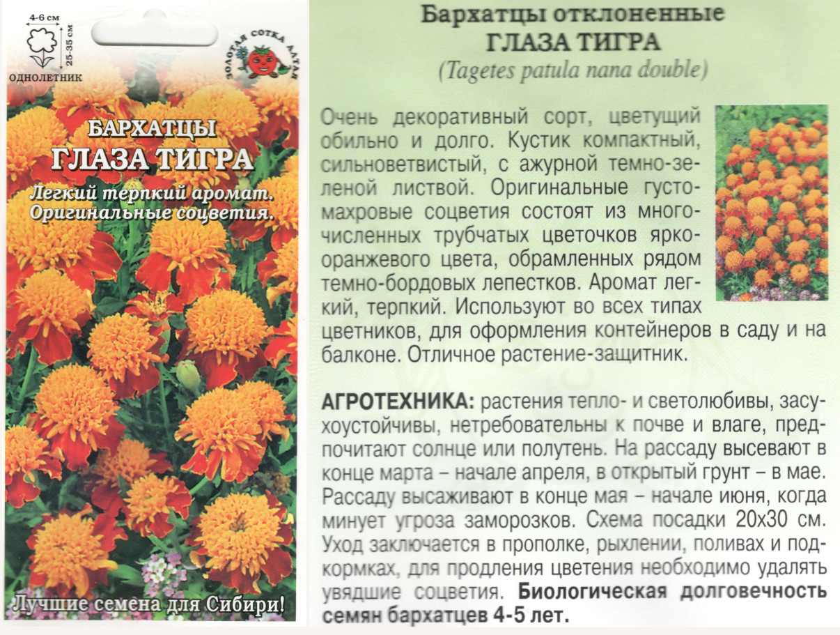 картинка Бархатцы Глаза тигра 0,2 гр. $ ЗСА  интернет-магазин "Дачник"