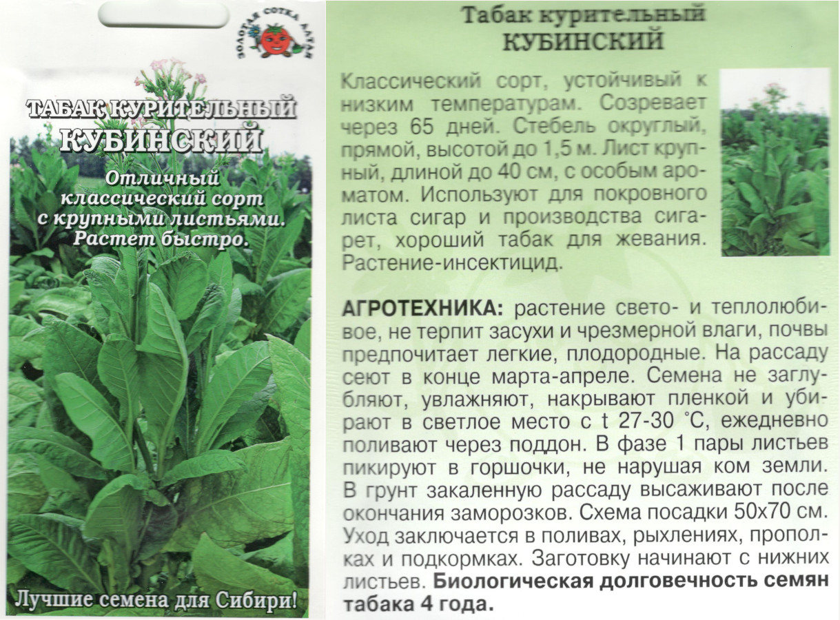 картинка Табак Кубинский 0,05 гр. курительный $ ЗСА интернет-магазин "Дачник"