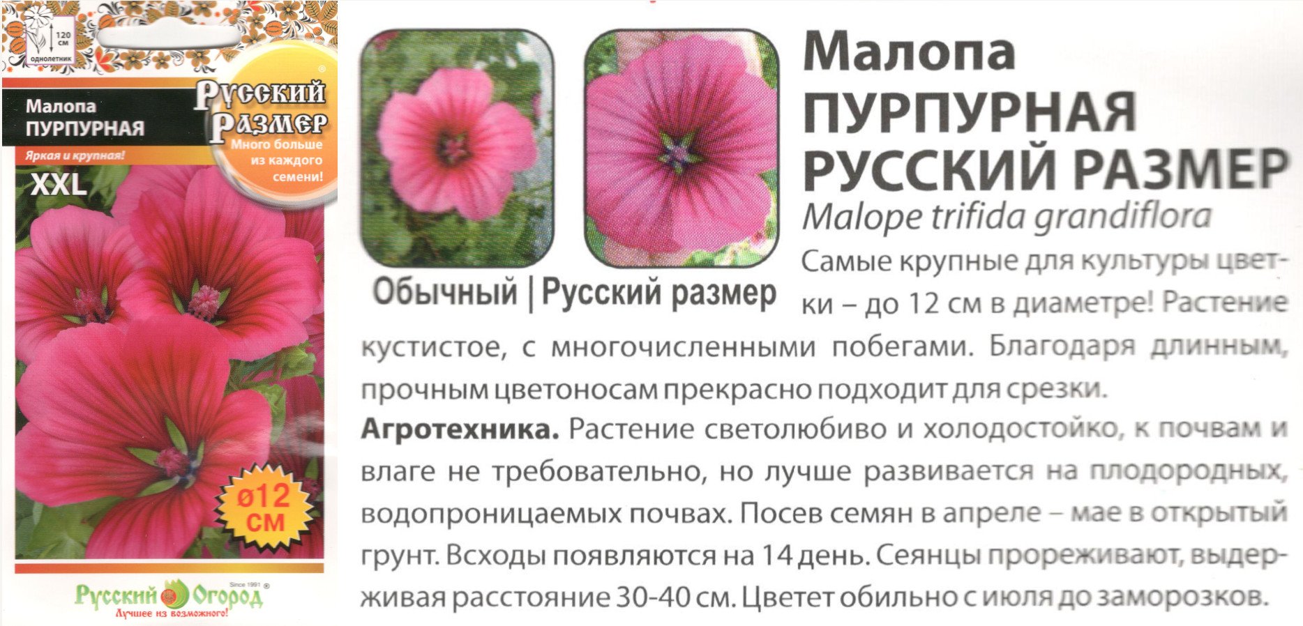 картинка Малопа Пурпурная 100 шт. Русский размер (однолет.) $ РО интернет-магазин "Дачник"