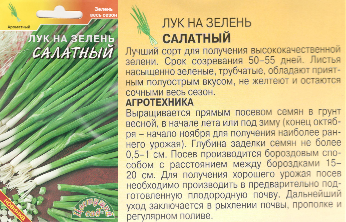 картинка Лук Салатный 0,3 гр. на зелень $ Цв.сад интернет-магазин "Дачник"