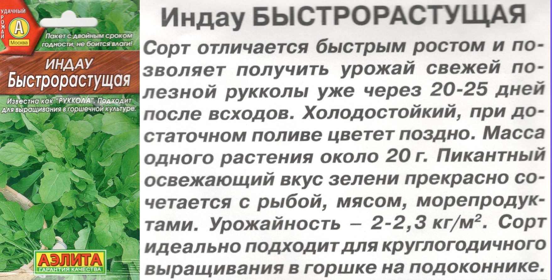 картинка Рукола (Индау) Быстрорастущая 0,3 гр. $ Аэлита интернет-магазин "Дачник"