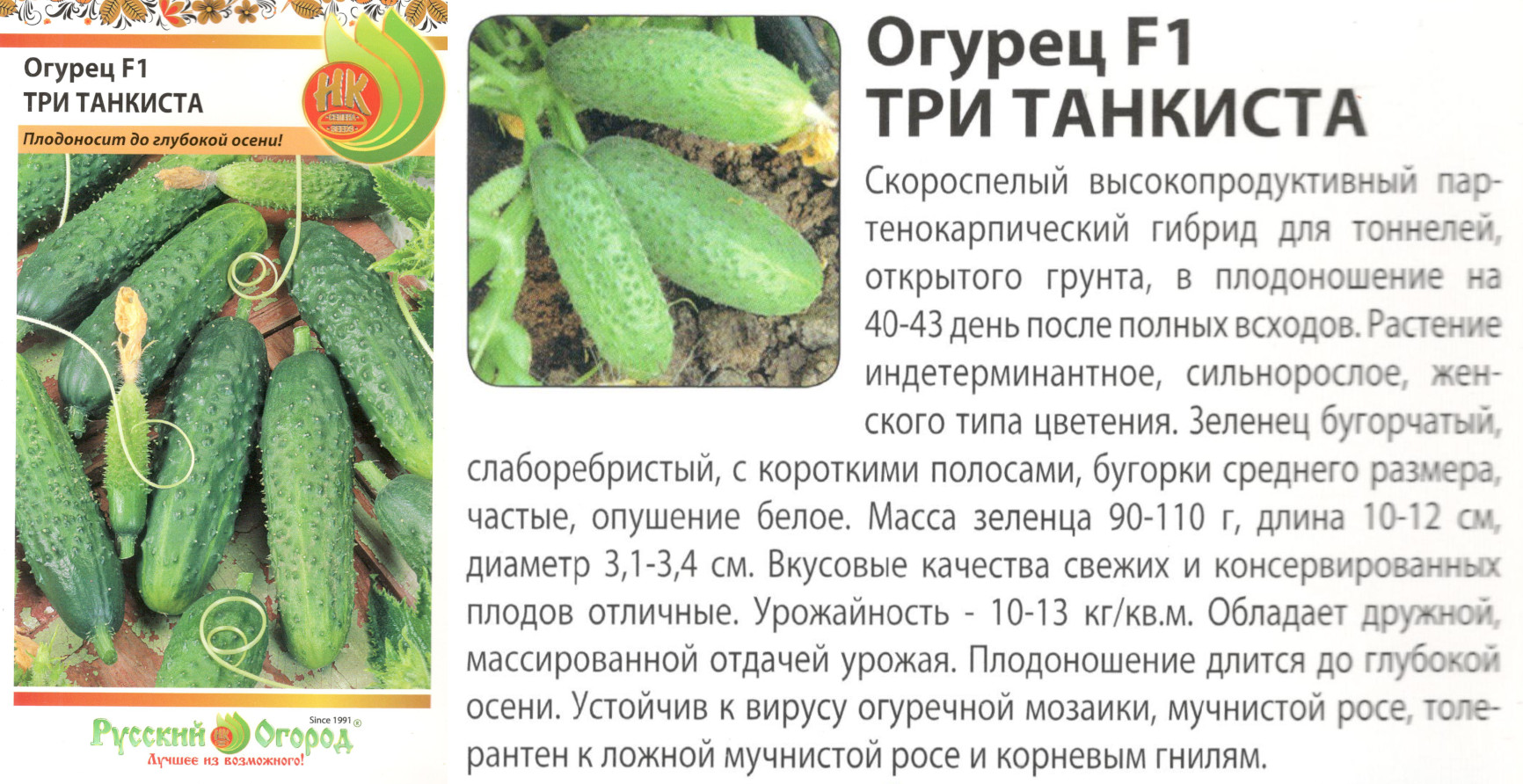 картинка Огурец Три Танкиста 12 шт. (НК) $ Цв.сад интернет-магазин "Дачник"