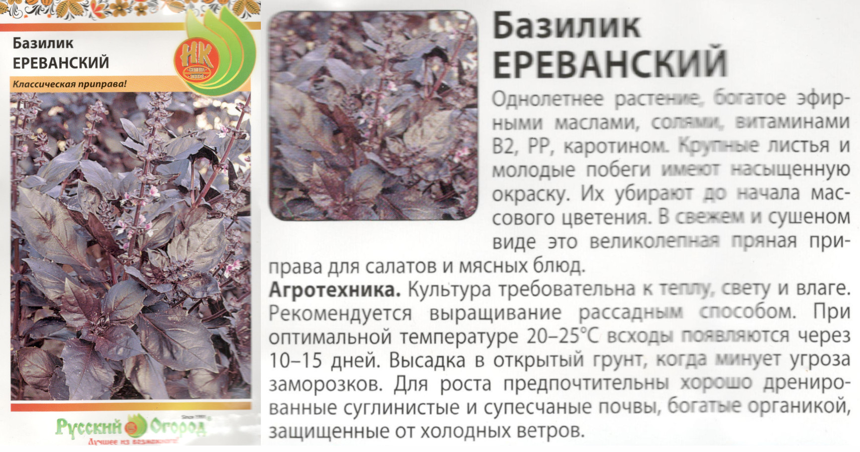 картинка Базилик Ереванский 0,3 гр. (НК) $ РО интернет-магазин "Дачник"